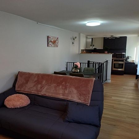 Ferienwohnung Le Petit Fleck Hagenau Exterior foto